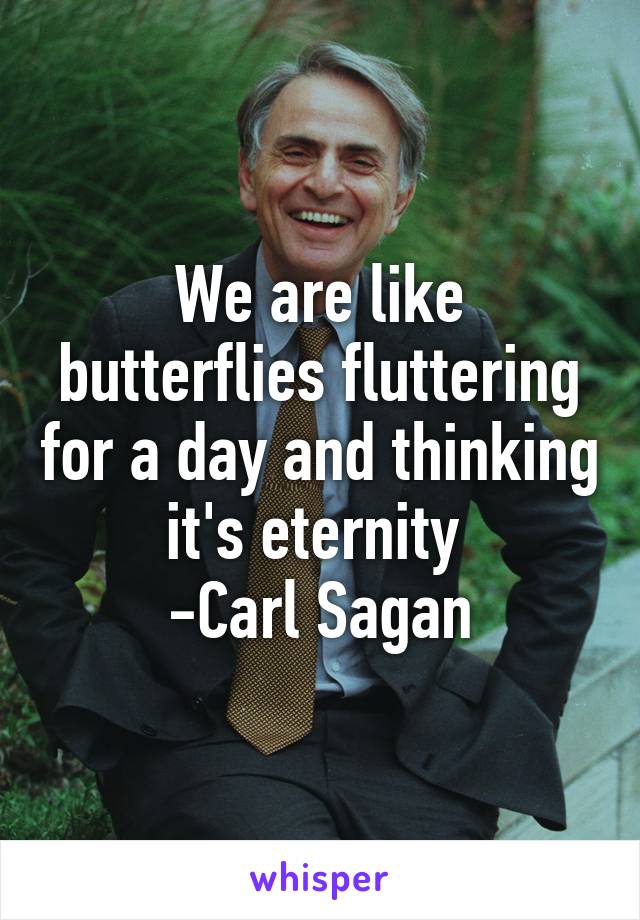 We are like butterflies fluttering for a day and thinking it's eternity 
-Carl Sagan