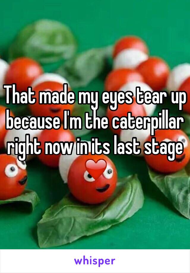That made my eyes tear up because I'm the caterpillar right now in its last stage ❤️