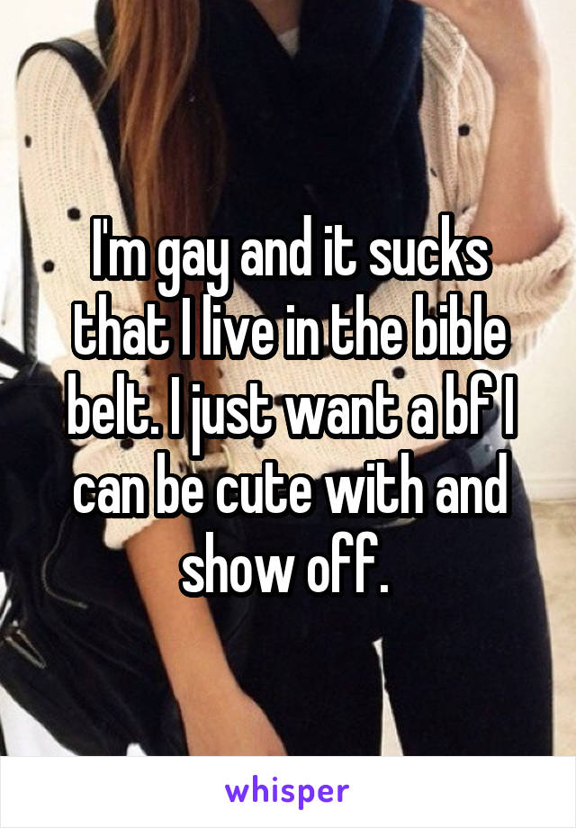 I'm gay and it sucks that I live in the bible belt. I just want a bf I can be cute with and show off. 