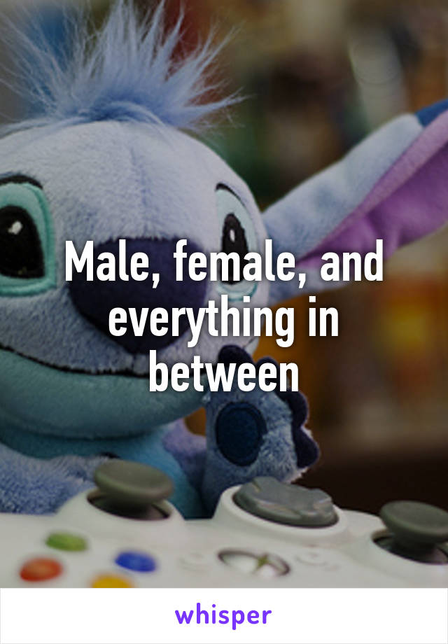 Male, female, and everything in between