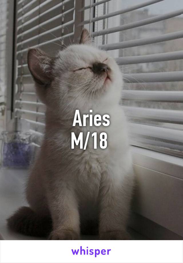 Aries
M/18 