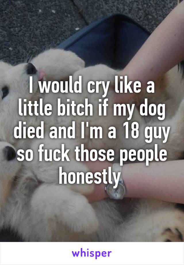 I would cry like a little bitch if my dog died and I'm a 18 guy so fuck those people honestly 