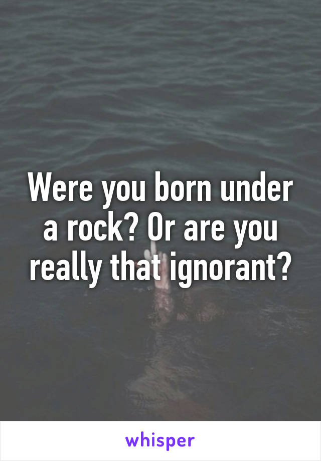 Were you born under a rock? Or are you really that ignorant?