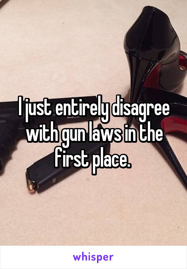 I just entirely disagree with gun laws in the first place. 