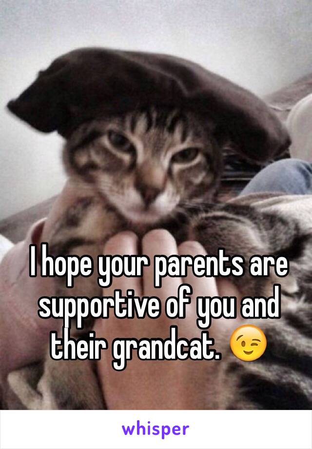 I hope your parents are supportive of you and their grandcat. 😉