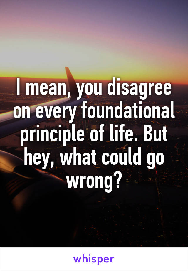 I mean, you disagree on every foundational principle of life. But hey, what could go wrong?
