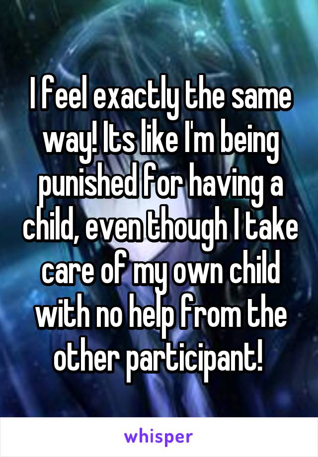 I feel exactly the same way! Its like I'm being punished for having a child, even though I take care of my own child with no help from the other participant! 