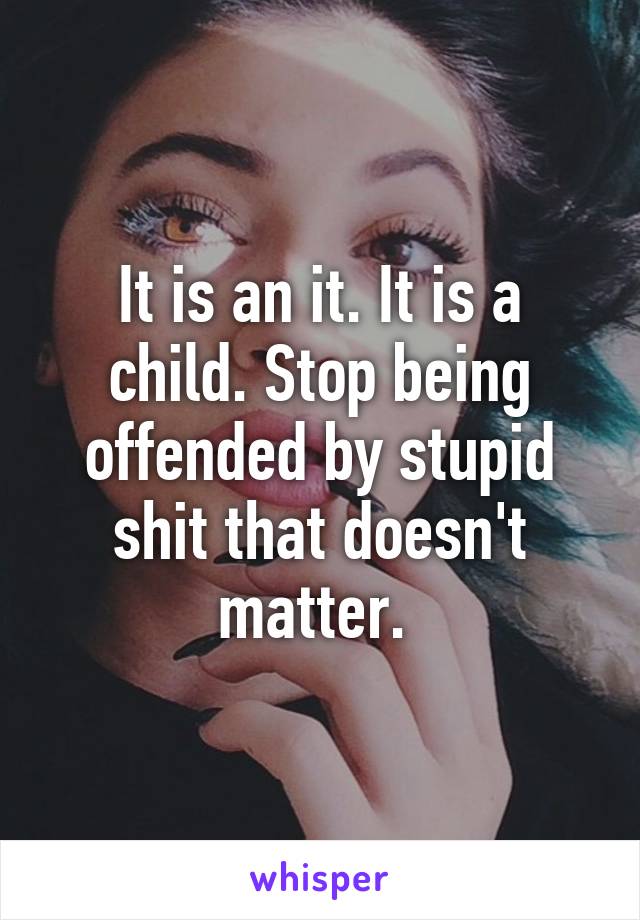 It is an it. It is a child. Stop being offended by stupid shit that doesn't matter. 