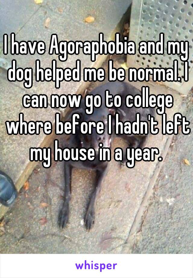 I have Agoraphobia and my dog helped me be normal. I can now go to college where before I hadn't left my house in a year. 

