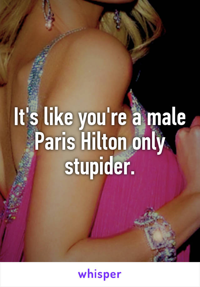 It's like you're a male Paris Hilton only stupider.