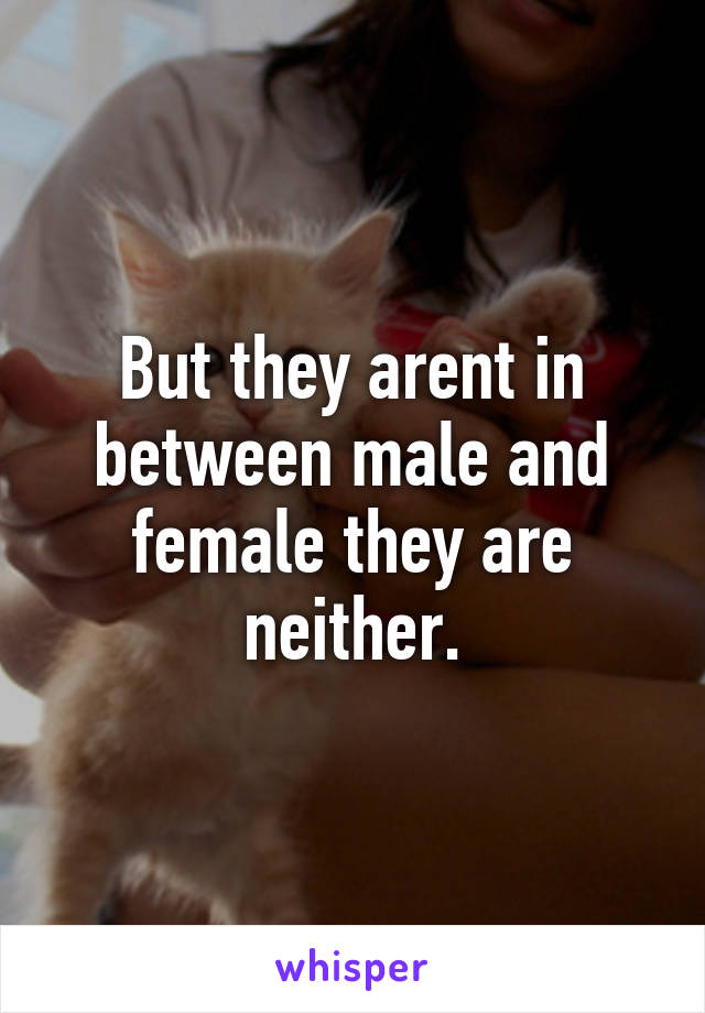 But they arent in between male and female they are neither.
