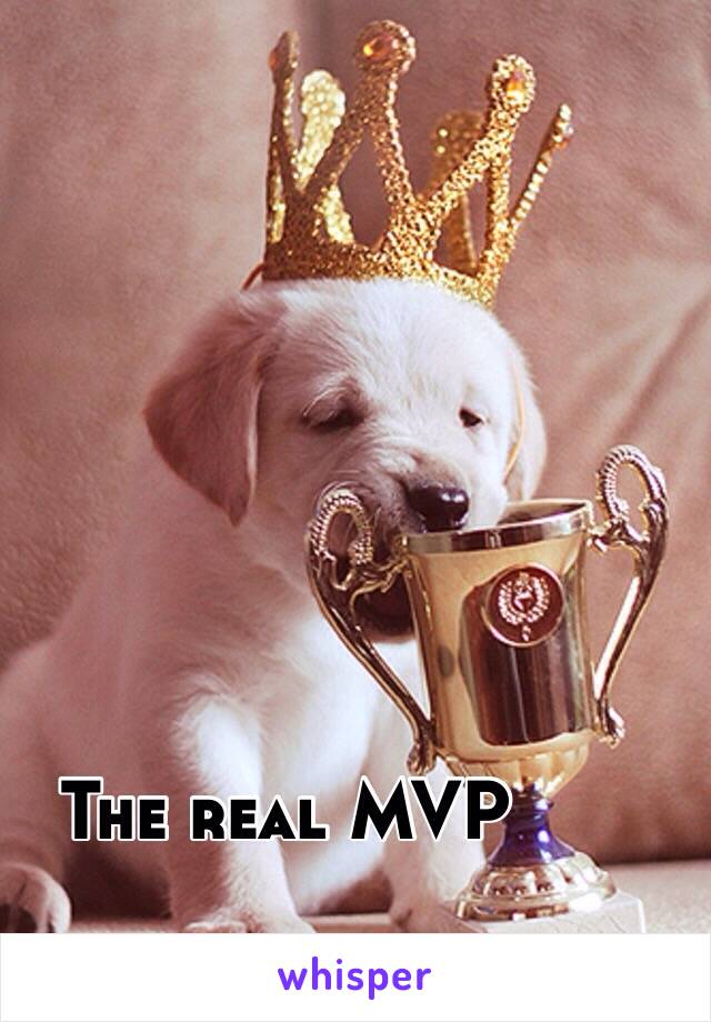 The real MVP