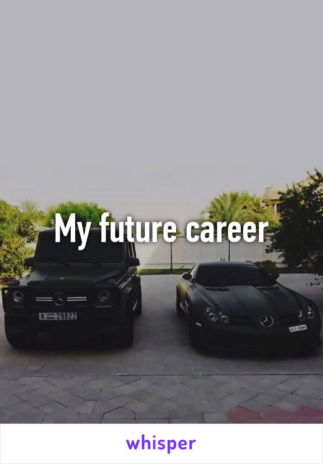 My future career