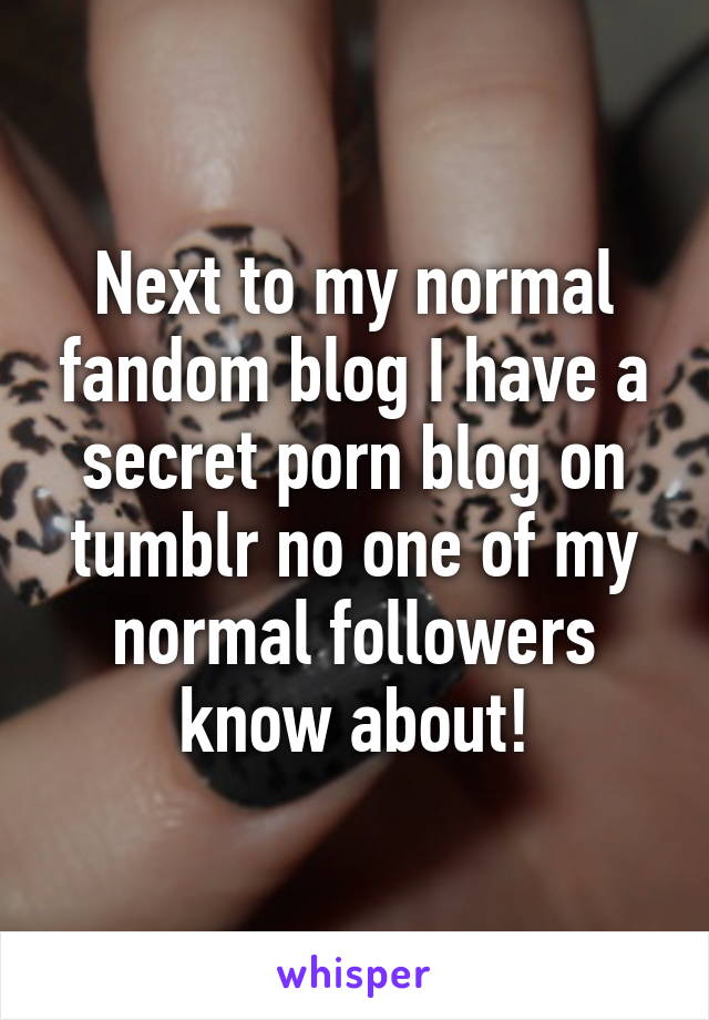 Next to my normal fandom blog I have a secret porn blog on tumblr no one of my normal followers know about!