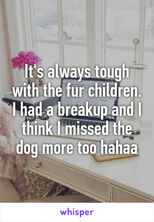It's always tough with the fur children. I had a breakup and I think I missed the dog more too hahaa