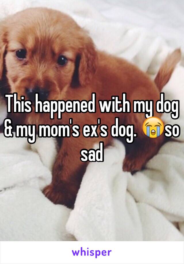 This happened with my dog & my mom's ex's dog. 😭so sad 