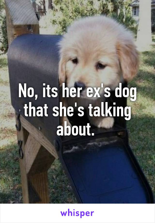 No, its her ex's dog that she's talking about. 