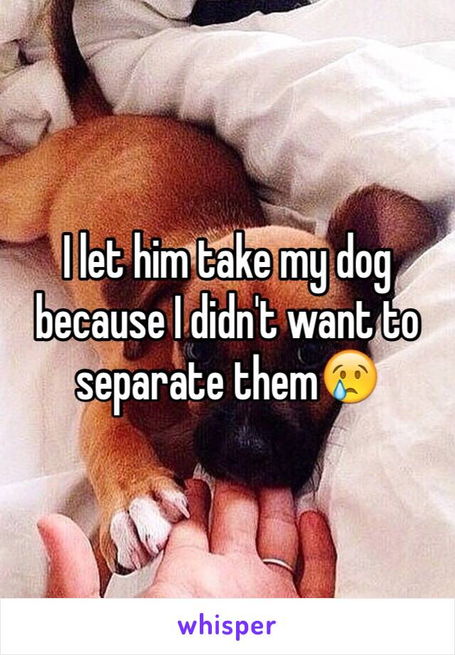I let him take my dog because I didn't want to separate them😢