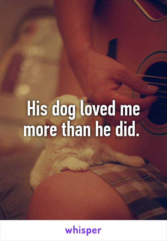 His dog loved me more than he did. 