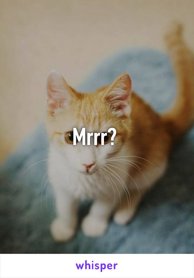 Mrrr? 