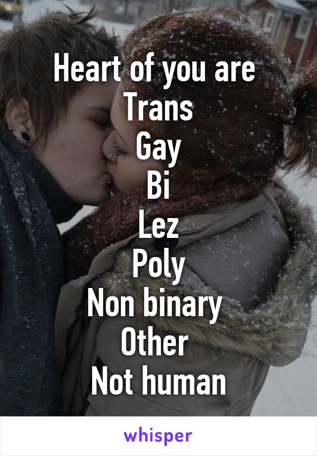Heart of you are 
Trans
Gay
Bi
Lez
Poly
Non binary 
Other 
Not human