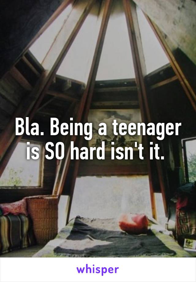 Bla. Being a teenager is SO hard isn't it. 