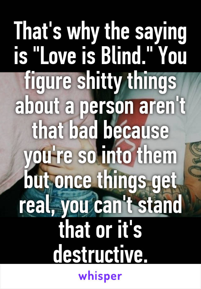 That's why the saying is "Love is Blind." You figure shitty things about a person aren't that bad because you're so into them but once things get real, you can't stand that or it's destructive.