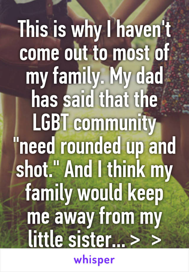 This is why I haven't come out to most of my family. My dad has said that the LGBT community "need rounded up and shot." And I think my family would keep me away from my little sister... >_>