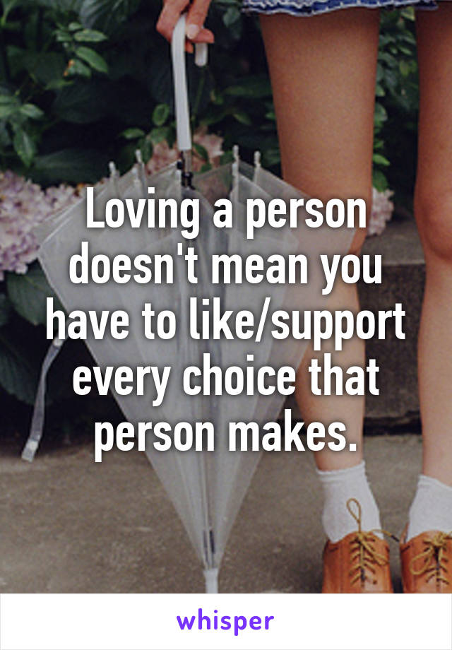 Loving a person doesn't mean you have to like/support every choice that person makes.