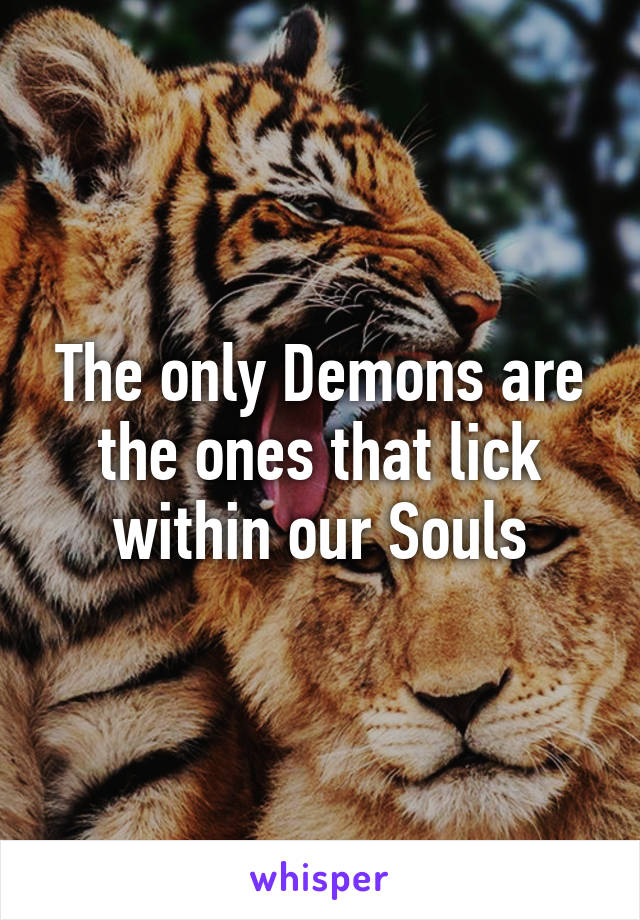 The only Demons are the ones that lick within our Souls