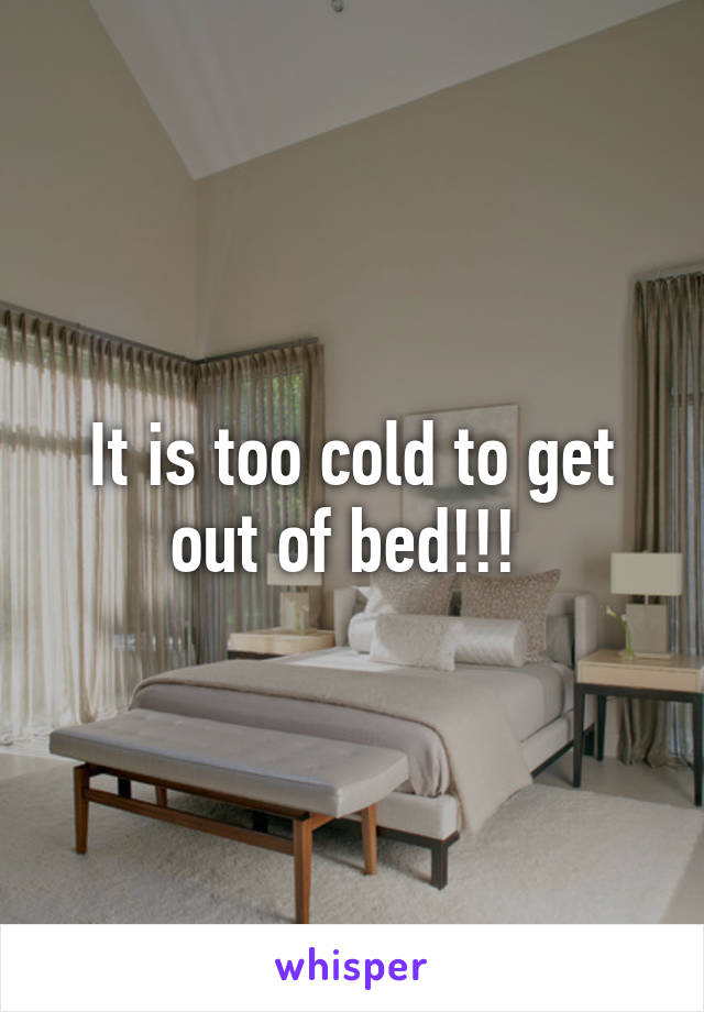 It is too cold to get out of bed!!! 