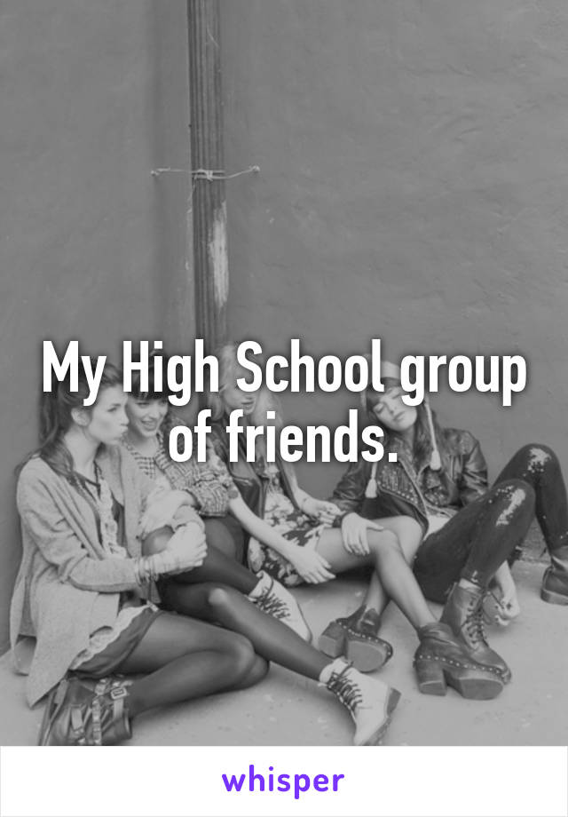 My High School group of friends.