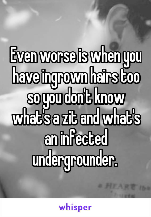 Even worse is when you have ingrown hairs too so you don't know what's a zit and what's an infected undergrounder. 