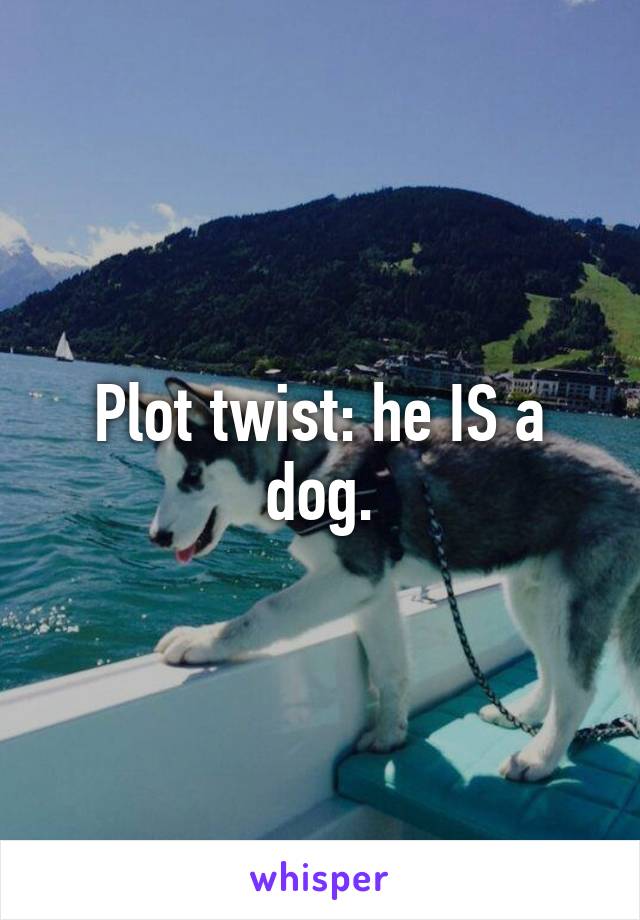 Plot twist: he IS a dog.