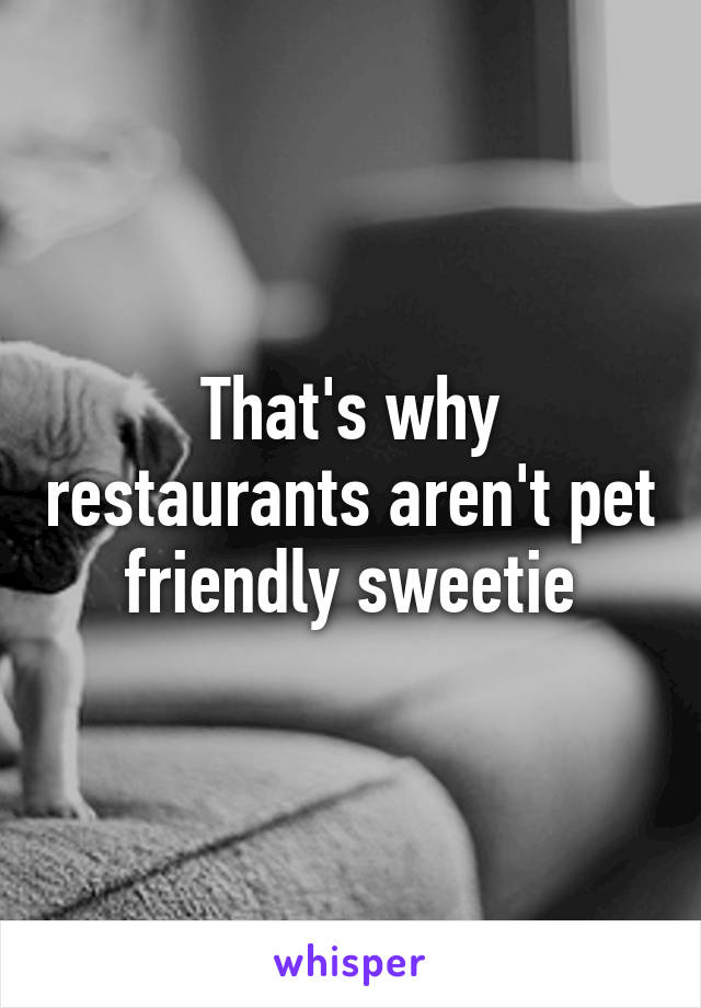 That's why restaurants aren't pet friendly sweetie