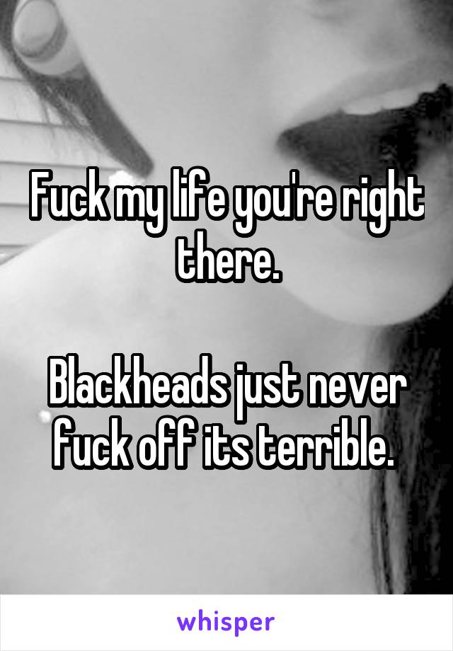 Fuck my life you're right there.

Blackheads just never fuck off its terrible. 