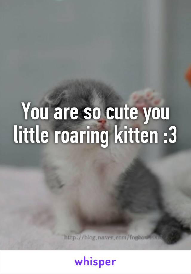 You are so cute you little roaring kitten :3 