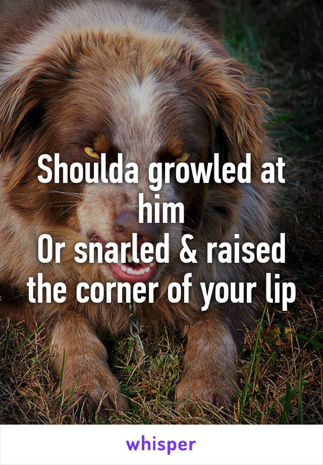 Shoulda growled at him
Or snarled & raised the corner of your lip