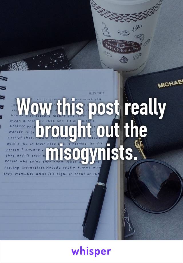 Wow this post really brought out the misogynists.