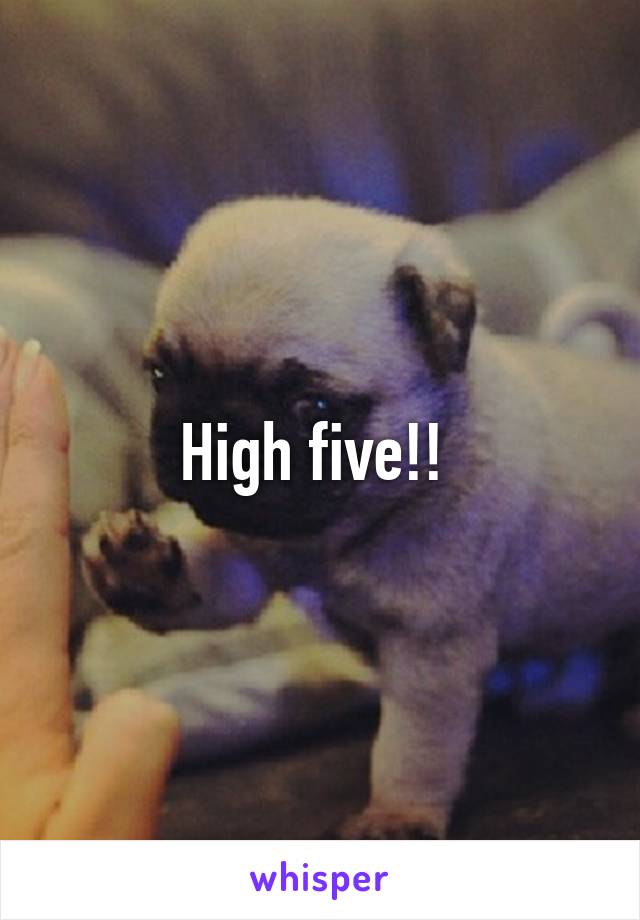 High five!! 