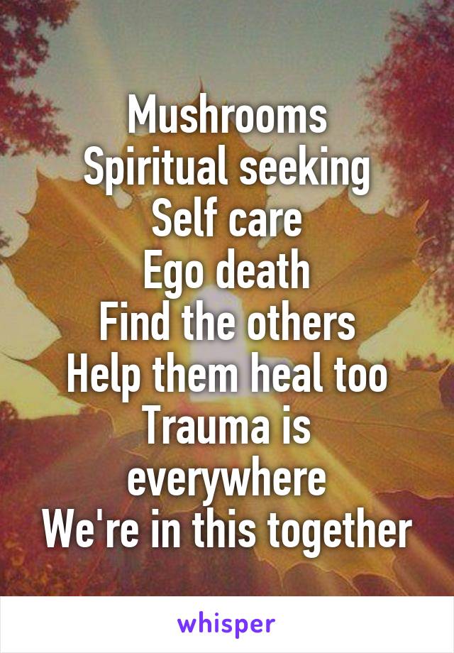 Mushrooms
Spiritual seeking
Self care
Ego death
Find the others
Help them heal too
Trauma is everywhere
We're in this together