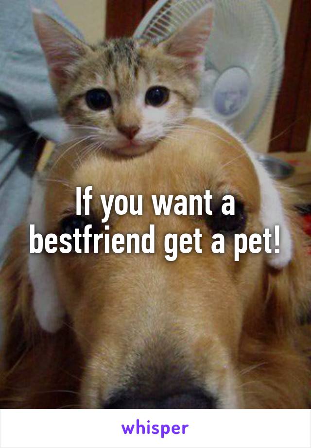 If you want a bestfriend get a pet!