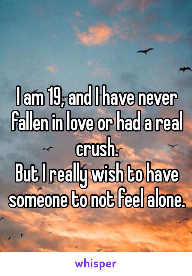 I am 19, and I have never fallen in love or had a real crush.
But I really wish to have someone to not feel alone.
