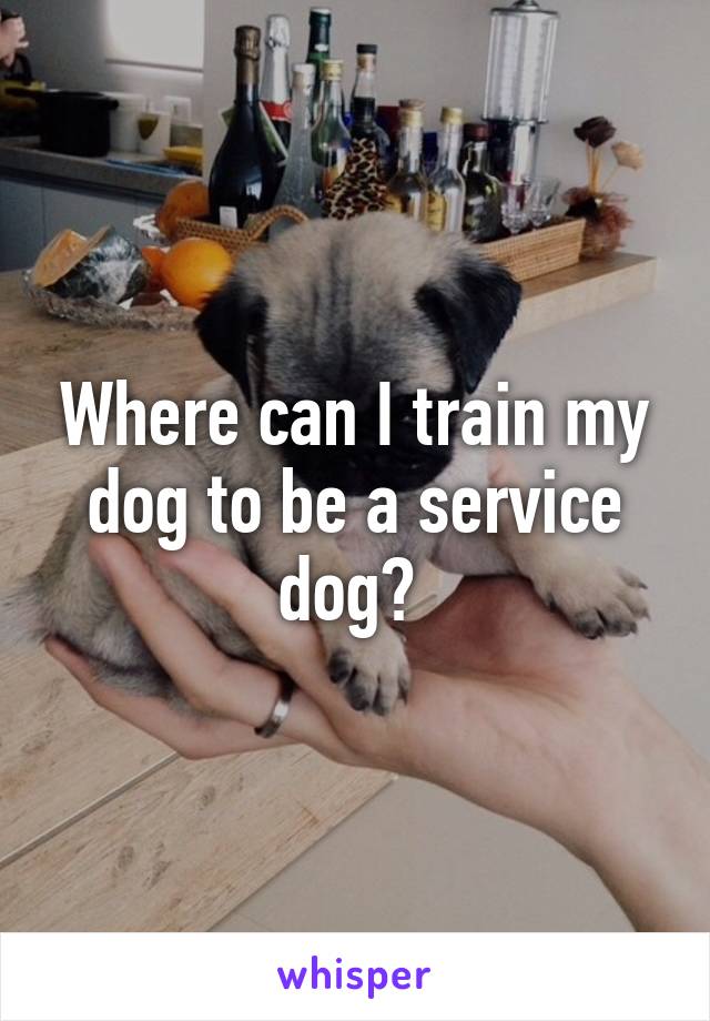 Where can I train my dog to be a service dog? 