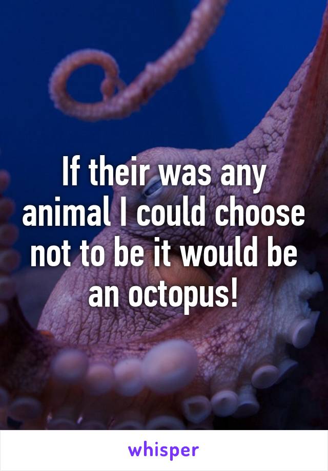 If their was any animal I could choose not to be it would be an octopus!
