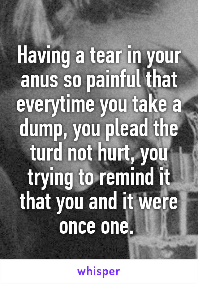 Having a tear in your anus so painful that everytime you take a dump, you plead the turd not hurt, you trying to remind it that you and it were once one. 