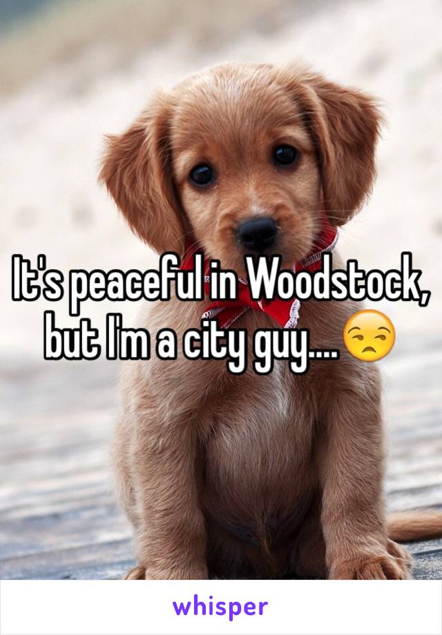 It's peaceful in Woodstock, but I'm a city guy....😒
