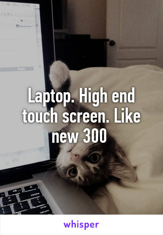 Laptop. High end touch screen. Like new 300 
