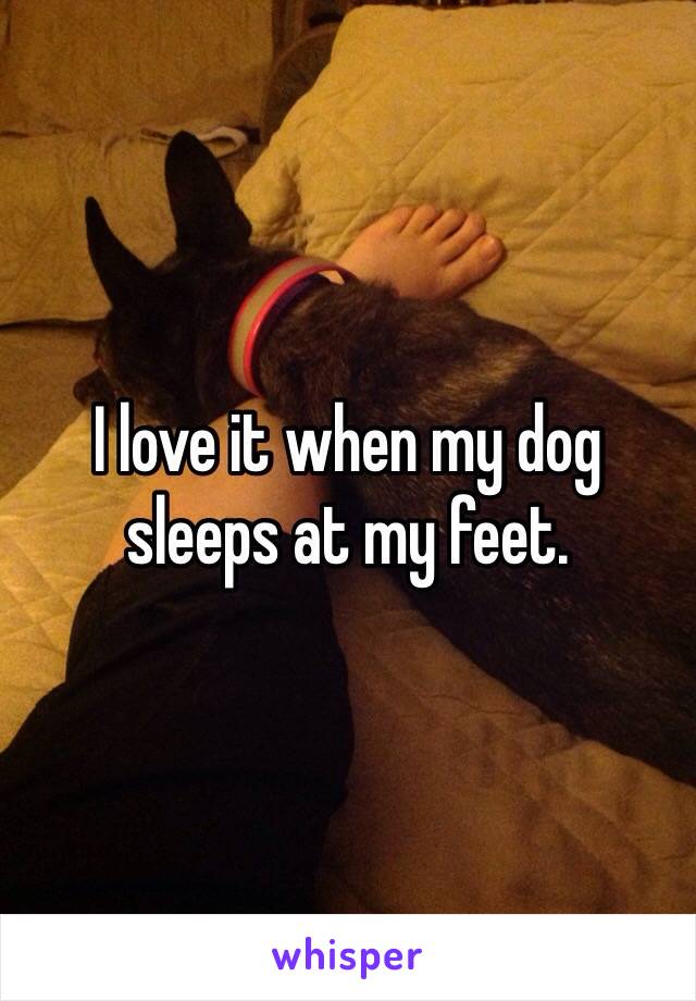 I love it when my dog sleeps at my feet.