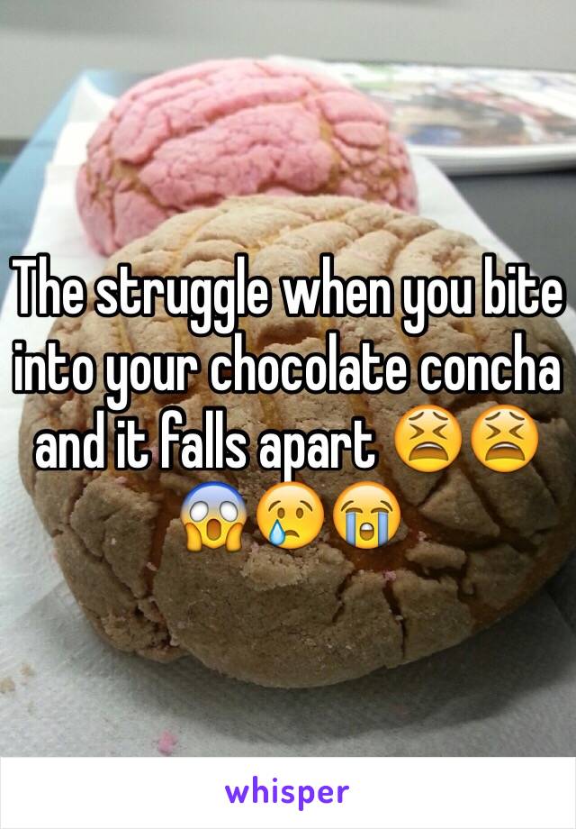 The struggle when you bite into your chocolate concha and it falls apart 😫😫😱😢😭